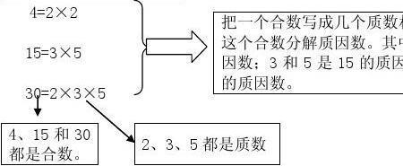 因数质因数的知识点