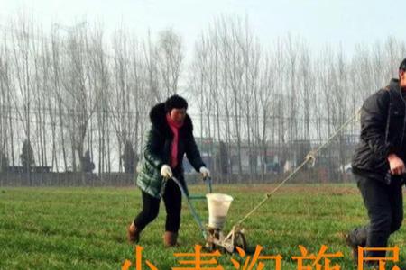 硝铵磷追施小麦怎么用