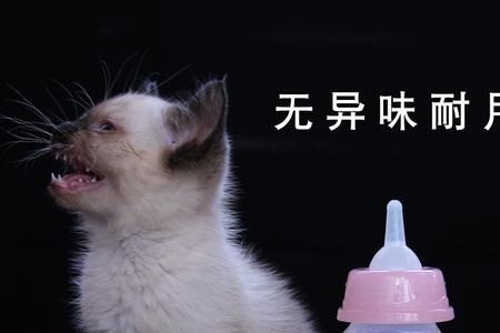 小猫咪用多大的奶瓶