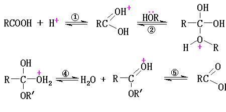 酸醇酯化反应方程式