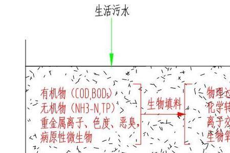 氨氮是有机还是无机