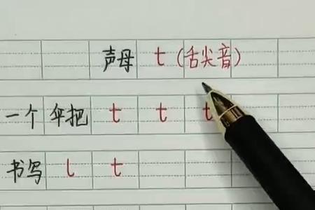 声母是t的字