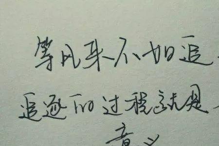 无悔无惧的意思