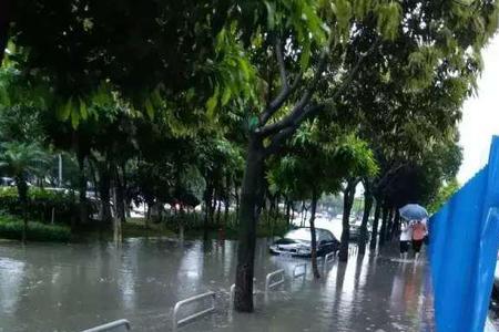 特大雨和暴雨的区别