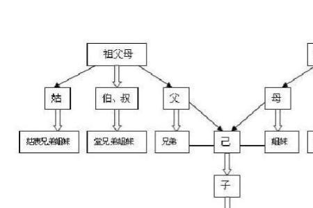 姑父算直系亲属吗