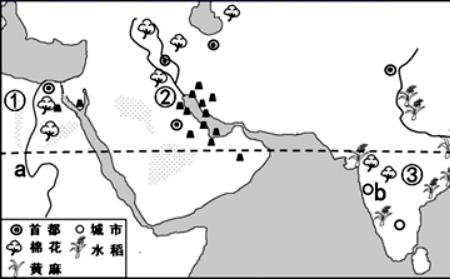 分析中东居民的衣食住行