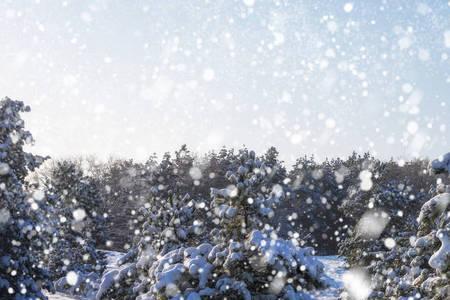 天空中下着雪花原唱