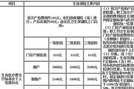 南京公司办理生育津贴流程