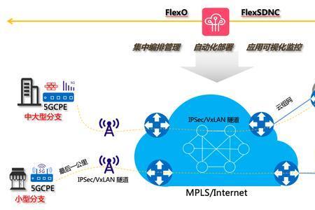 5gcpe组网方案