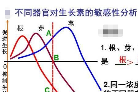 植物两重性是什么意思