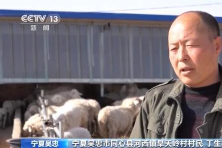 抓住牛鼻子排比句