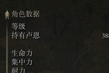 艾登法环观星者怎么玩