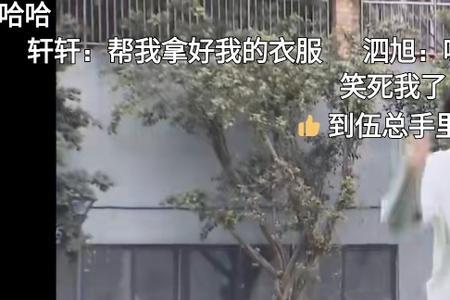 陈泗旭和张真源的粉丝名叫什么