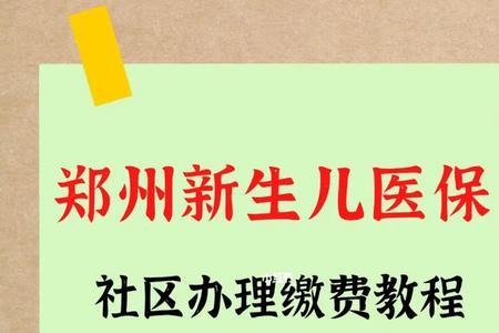 新生儿医保怎么首次网上缴费