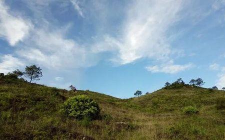 1000海拔适合居住吗