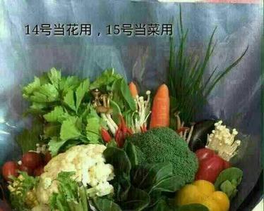 聊天发鲜花是什么意思