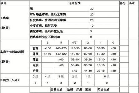 adl评分标准