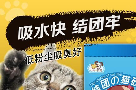 猫砂堵住蹲便最快方法