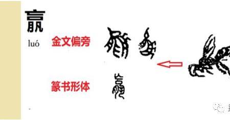 王口月贝凡是什么字