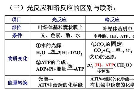 卡尔文循环与暗反应的区别