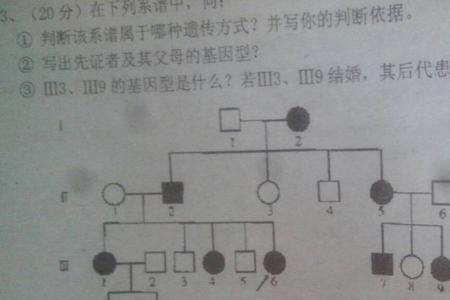 基因是母系遗传还是父系遗传