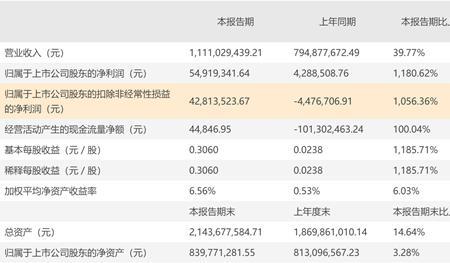 扣非净利润多少为好