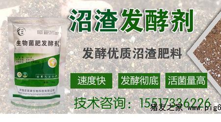 大量杏皮怎么样快速发酵成肥料