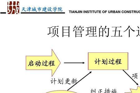 自主实施项目管理办法