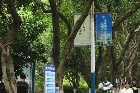 重庆大学博雅学院难不难进