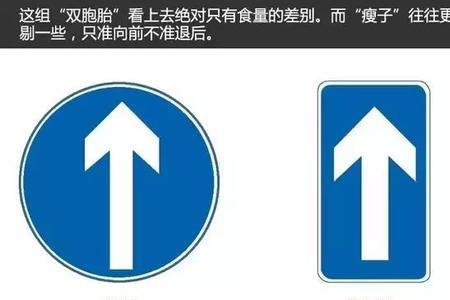 分向行驶车道和交叉路口标志