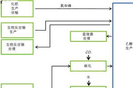 生物乙醇和燃料乙醇的区别