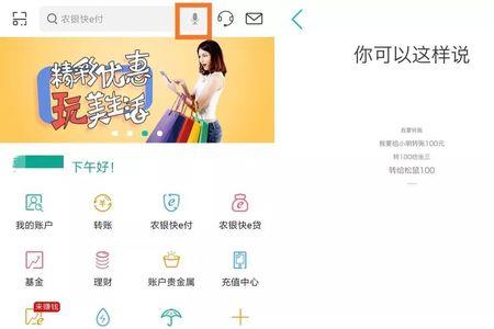 登录农行掌银app