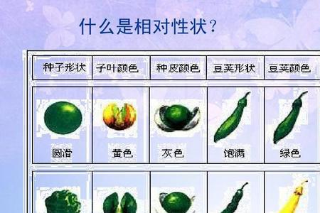 生物的身高属于显性性状吗