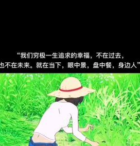 穷极一生的追求是什么意思