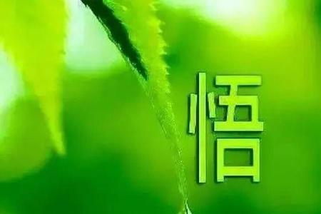 穷则观其形富则行其道什么意思