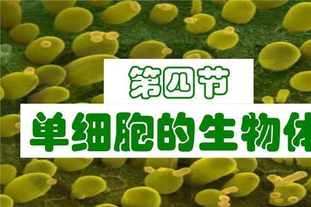 单细胞生物增殖方式