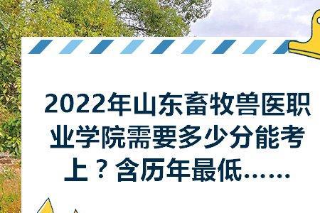 畜牧兽医证可以考多少次