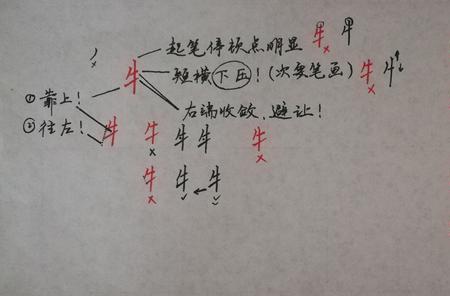 牛字旁一个力读什么