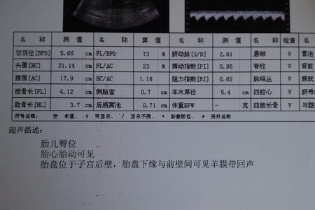 22周到24周是几个月了