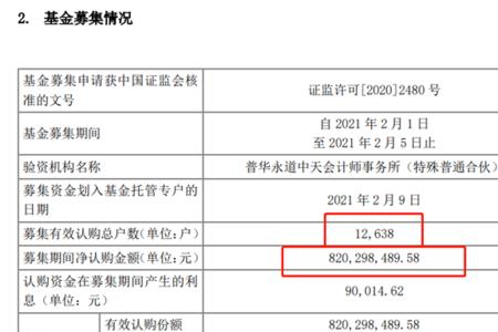 公司成立基金是什么意思