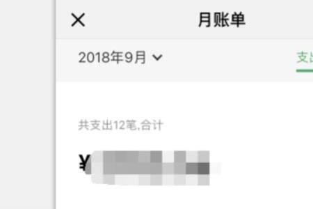 微信账单里的中性支出是什么