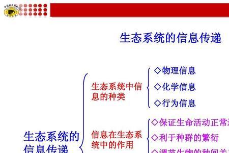 古代高效的信息传递系统叫什么