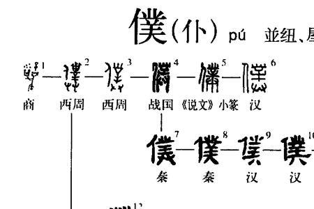 仆字第一声多音字组词