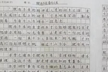 文字功底扎实评语