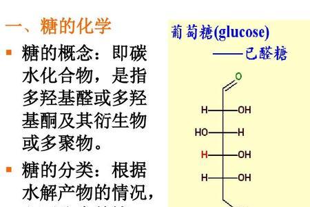 为什么核糖是单糖