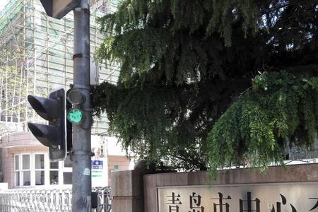 青岛市北区私立小学怎么样