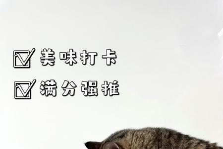 猫能喝冰红茶吗