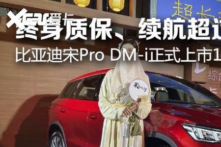 宋pro dmi电池终身质保怎么理解