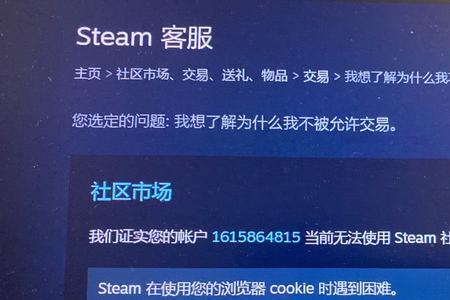 steam交易链接可以给别人吗