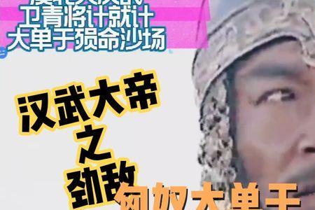 汉武大帝大单于扮演者